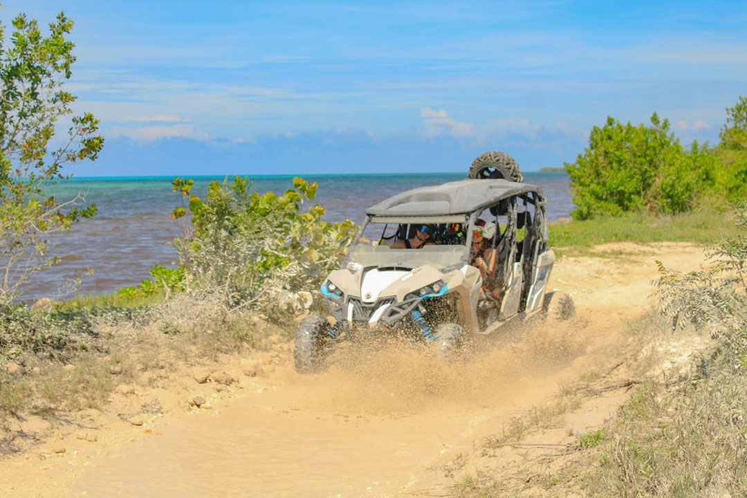 Unique Cozumel Tours - Dive, Explore & Embrace Mayan Culture