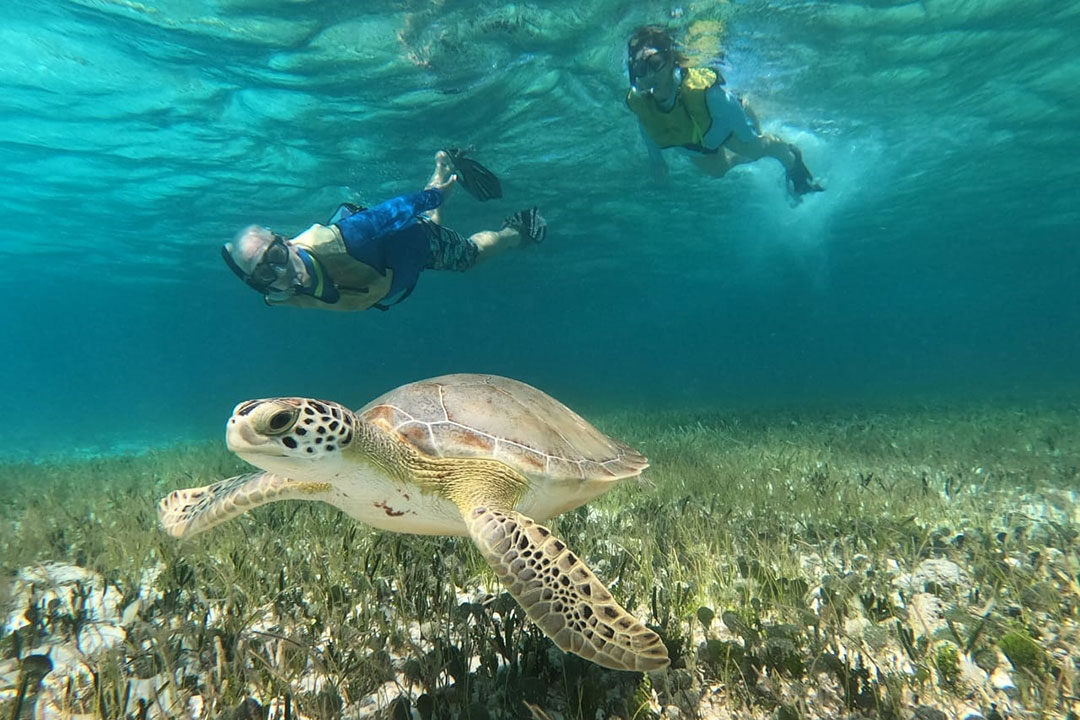 Unique Cozumel Tours - Dive, Explore & Embrace Mayan Culture