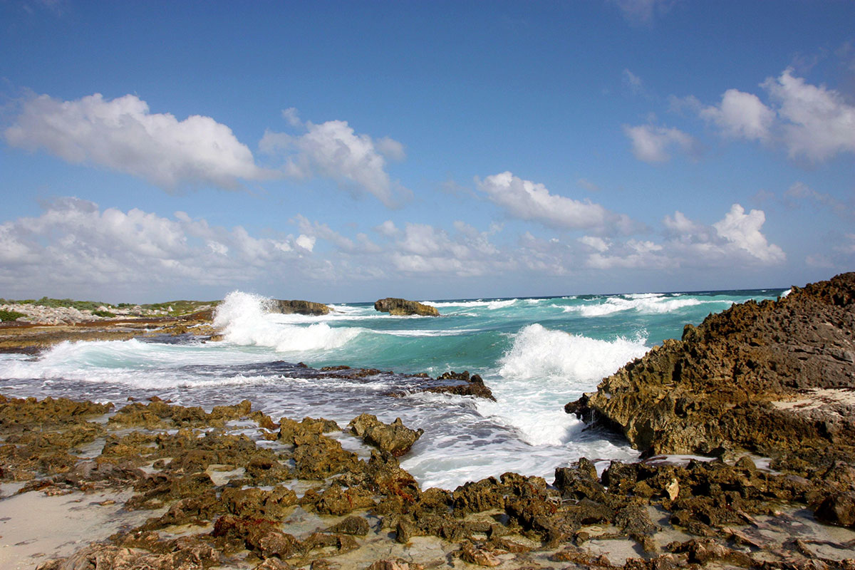 Unique Cozumel Tours - Dive, Explore & Embrace Mayan Culture
